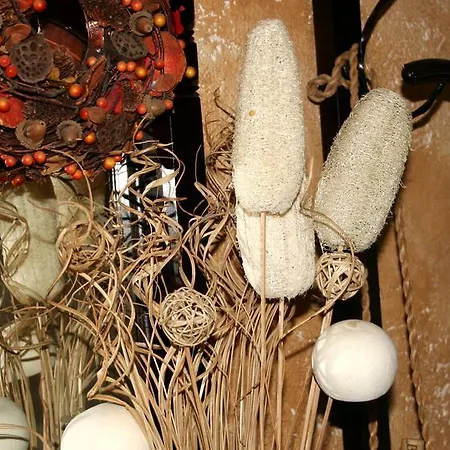 Hospederia El Pico Del Fraile カントリーハウス *