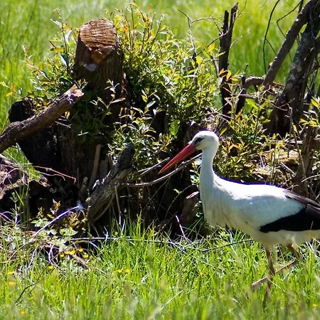 Hospederia El Pico Del Fraile Landsted Cobreros
