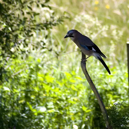 Hospederia El Pico Del Fraile Landsted