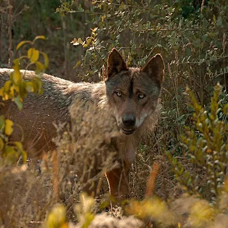 Hospederia El Pico Del Fraile カントリーハウス