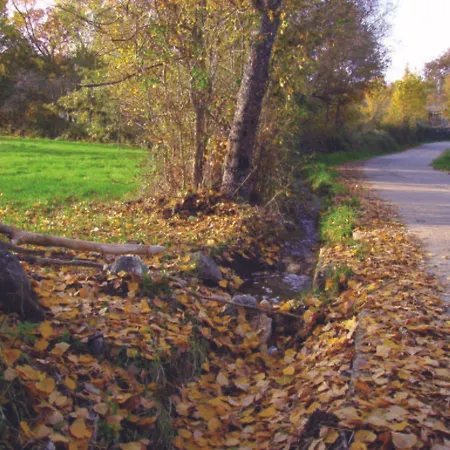 Hospederia El Pico Del Fraile * Cobreros