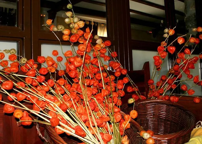 Gospodarstwo wiejskie Hospederia El Pico Del Fraile