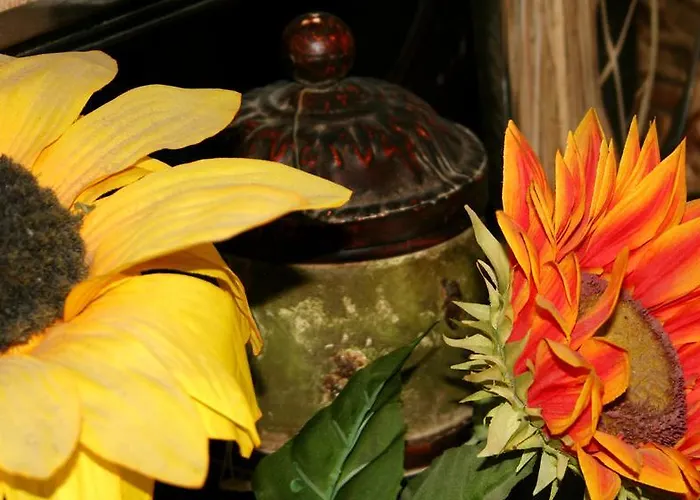 Hospederia El Pico Del Fraile Gospodarstwo wiejskie *