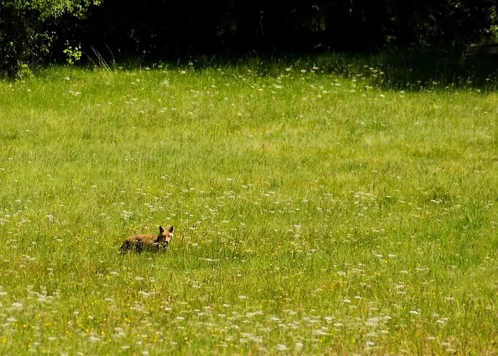 Hospederia El Pico Del Fraile Cobreros