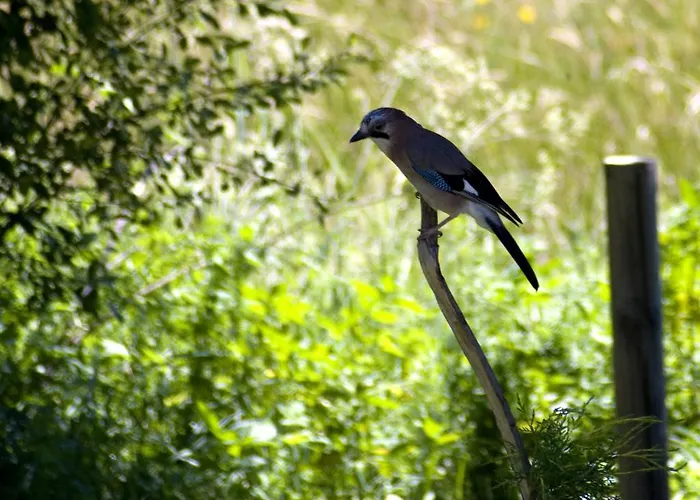 Hospederia El Pico Del Fraile Gospodarstwo wiejskie