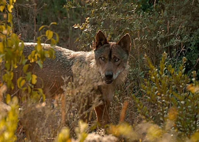 Hospederia El Pico Del Fraile Gospodarstwo wiejskie
