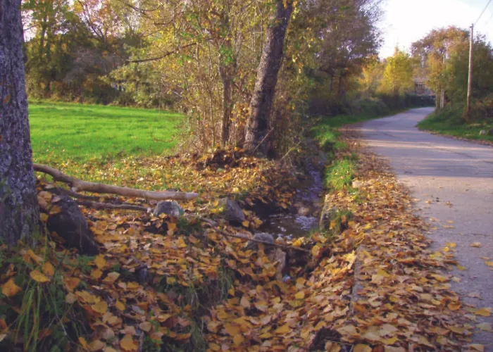 Hospederia El Pico Del Fraile * Cobreros