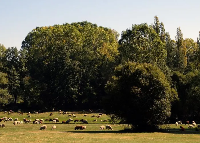 Hospederia El Pico Del Fraile Gospodarstwo wiejskie *