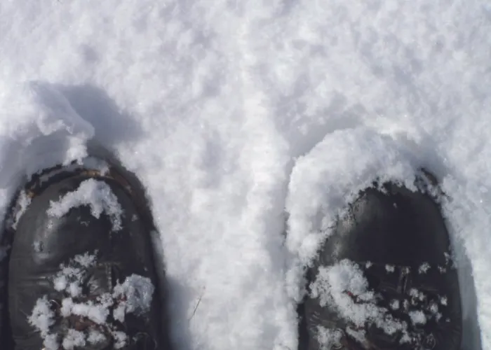 Hospederia El Pico Del Fraile