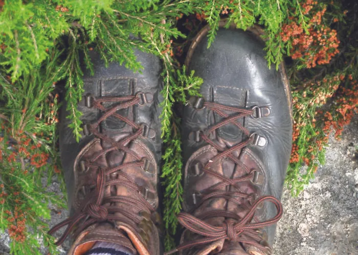 Hospederia El Pico Del Fraile Gospodarstwo wiejskie *